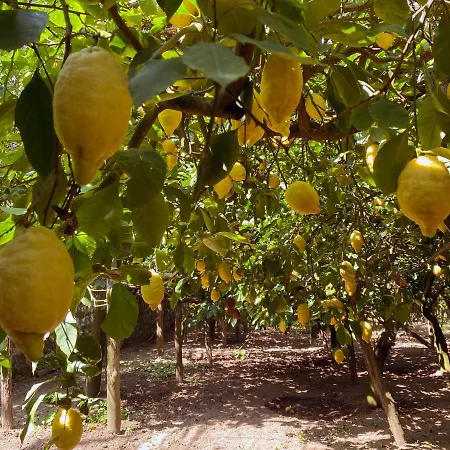 Mariahome Hébergement de vacances