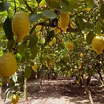 Mariahome Дом отдыха